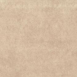 C1 TOUAREG 03 VAINILLA