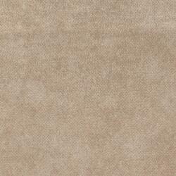 C1 TOUAREG 04 DORADO CLARO