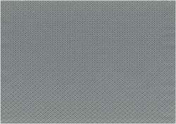 C4 CARTAGINESIS4 ZENITH