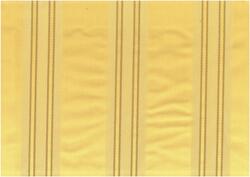 C4 LUSITANIA1 AMARILLO