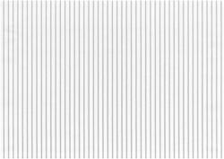 C4 TARRACONESIS3 NIEVE